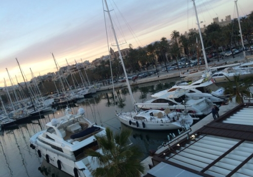 Hafen in Palma